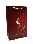 Weihnachtsgeschenktüte